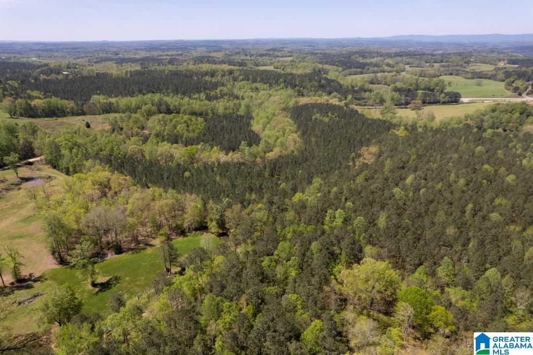 0 Highway 431, Unit 1 Wedowee, AL 36278 - Photo 3 of 10
