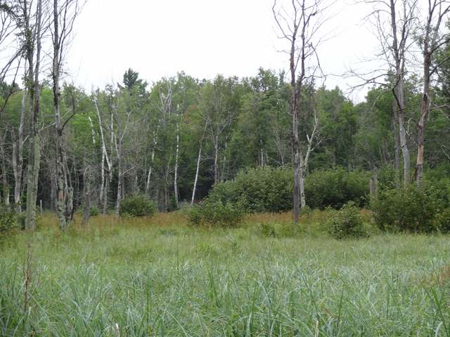 Near Tannery Road Tomahawk, WI 54487 - Photo 9 of 12 Gallery Image 9