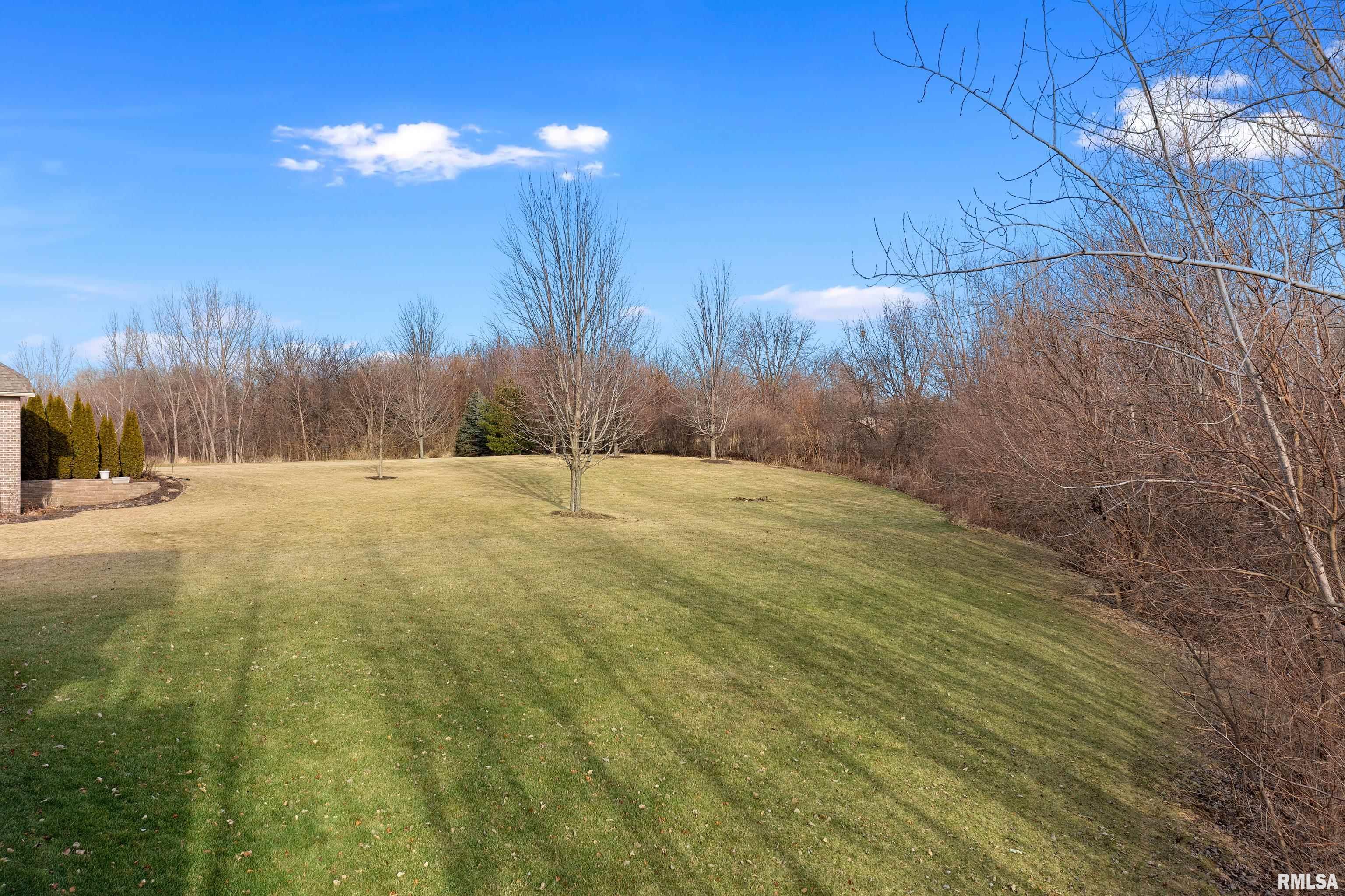 2219 West Augusta Drive Dunlap, IL 61525 - Photo 7 of 17