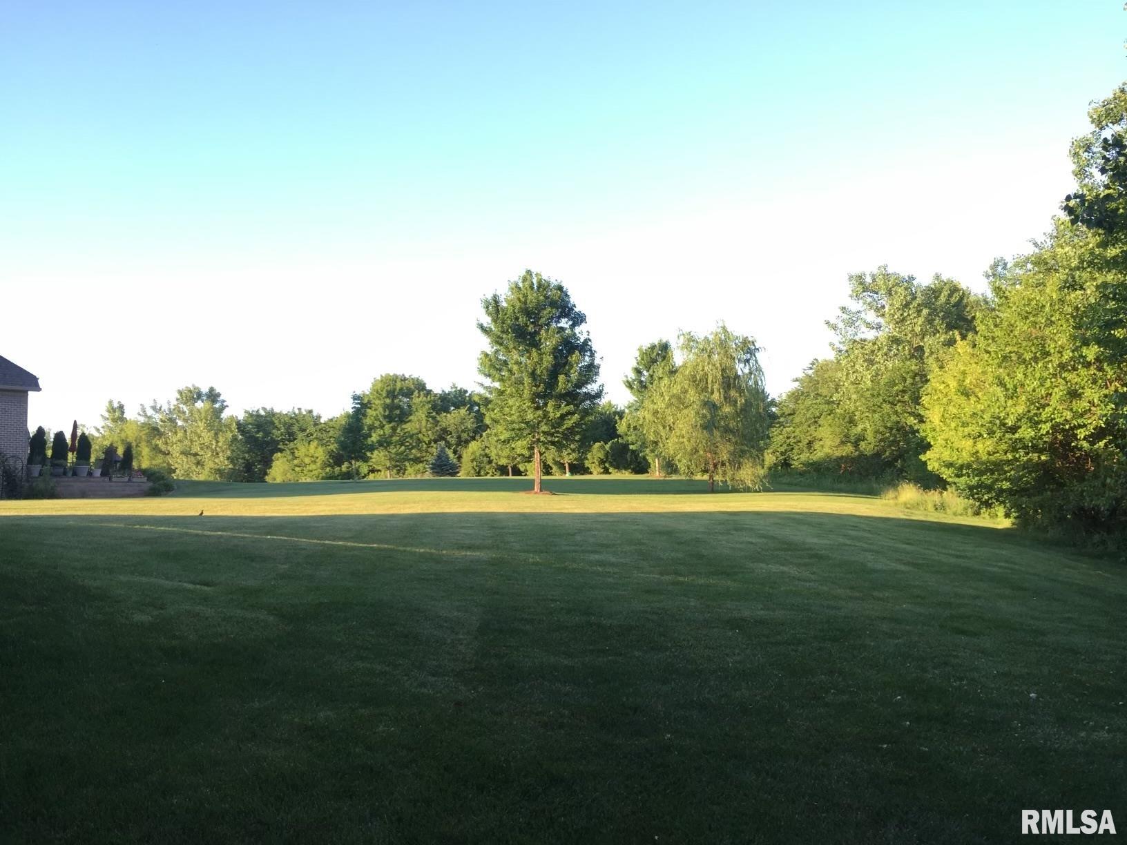 2219 West Augusta Drive Dunlap, IL 61525 - Photo 8 of 17
