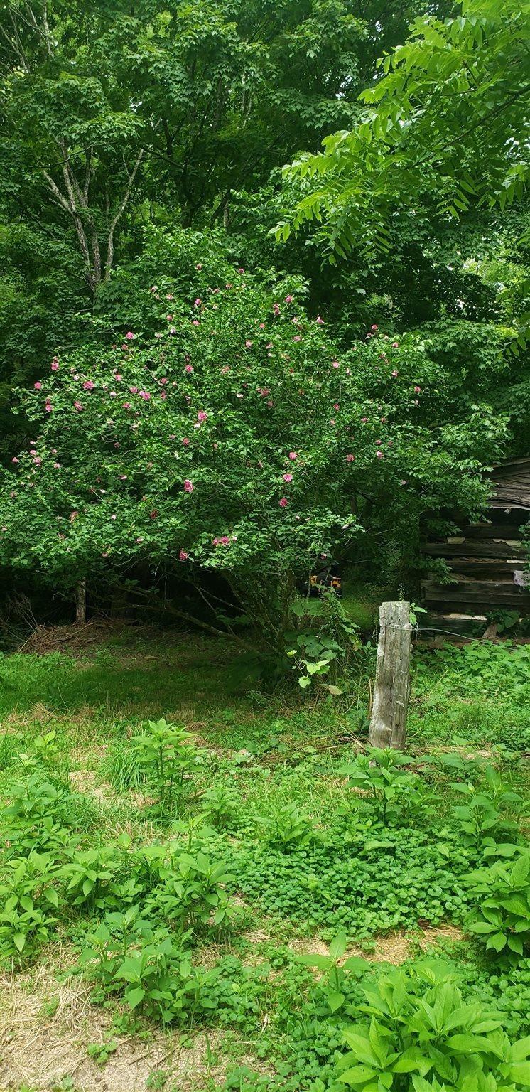 7166 Wilderness Road Dublin, VA 24084 - Photo 7 of 7 Gallery Image 7