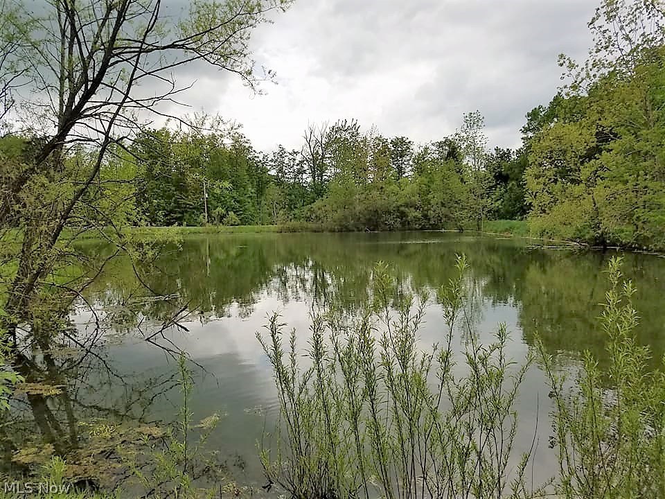 16631 Munn Road Chagrin Falls, OH 44023 - Photo 3 of 14 Gallery Image 3