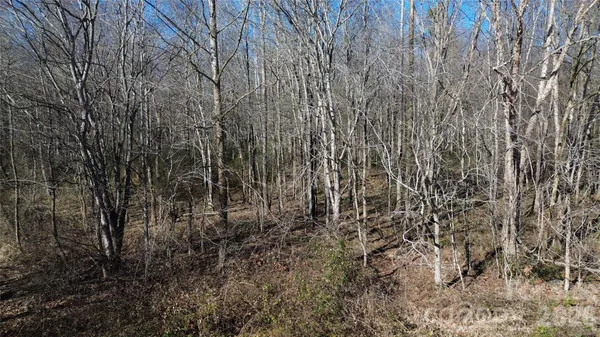 $42,000 | 0 Green Valley Court, Vale, NC 28168