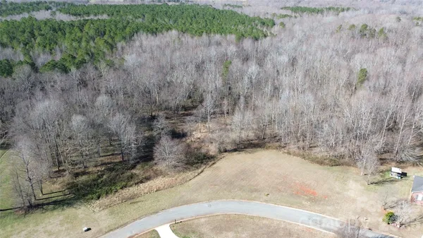 a view of a dry yard with trees