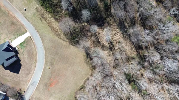 a view of yard covered with trees