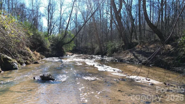 a view of lake with a tree