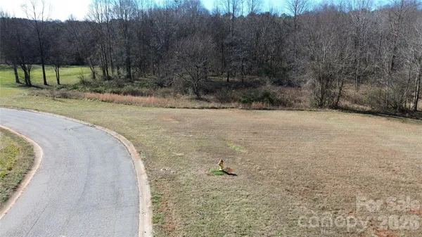 a view of a yard with trees
