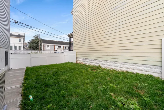 a view of a backyard with plants and large tree