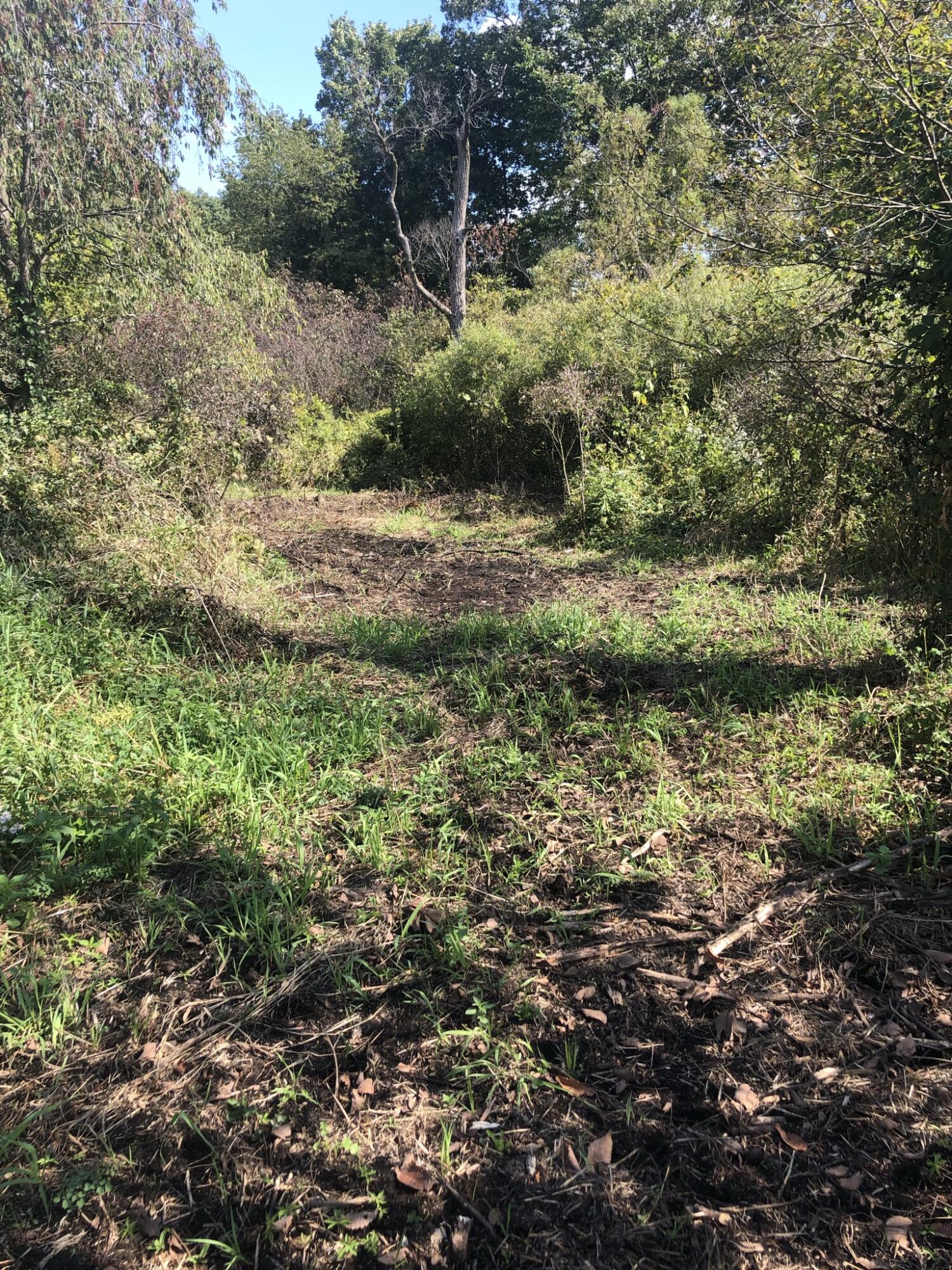 Burt Road Hillsdale, MI 49242 - Photo 2 of 22 IMG_2477