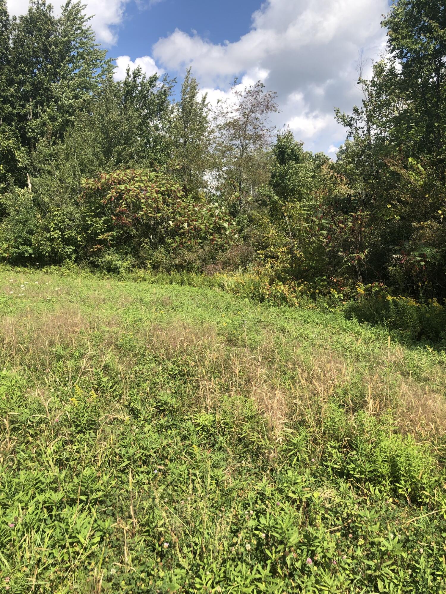 Burt Road Hillsdale, MI 49242 - Photo 22 of 22 IMG_2497