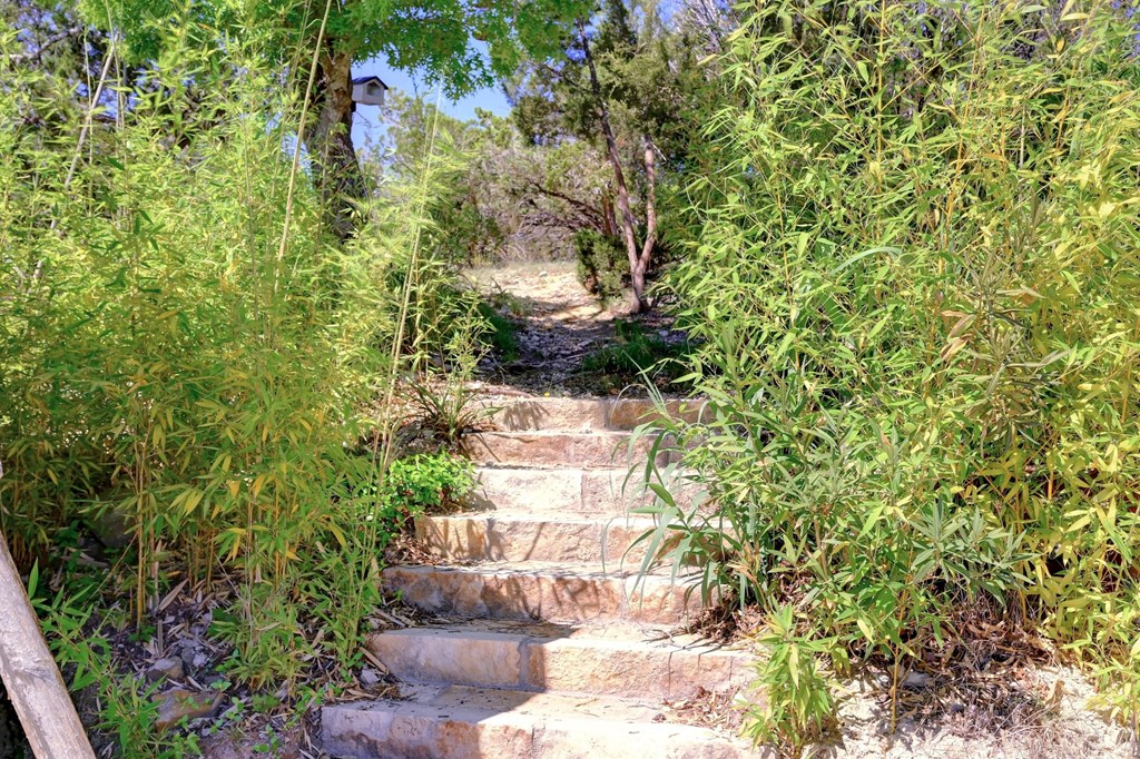 324 East Headwaters Ranch Road Kendalia, TX 78027 - Photo 29 of 61 a view of a yard with plants