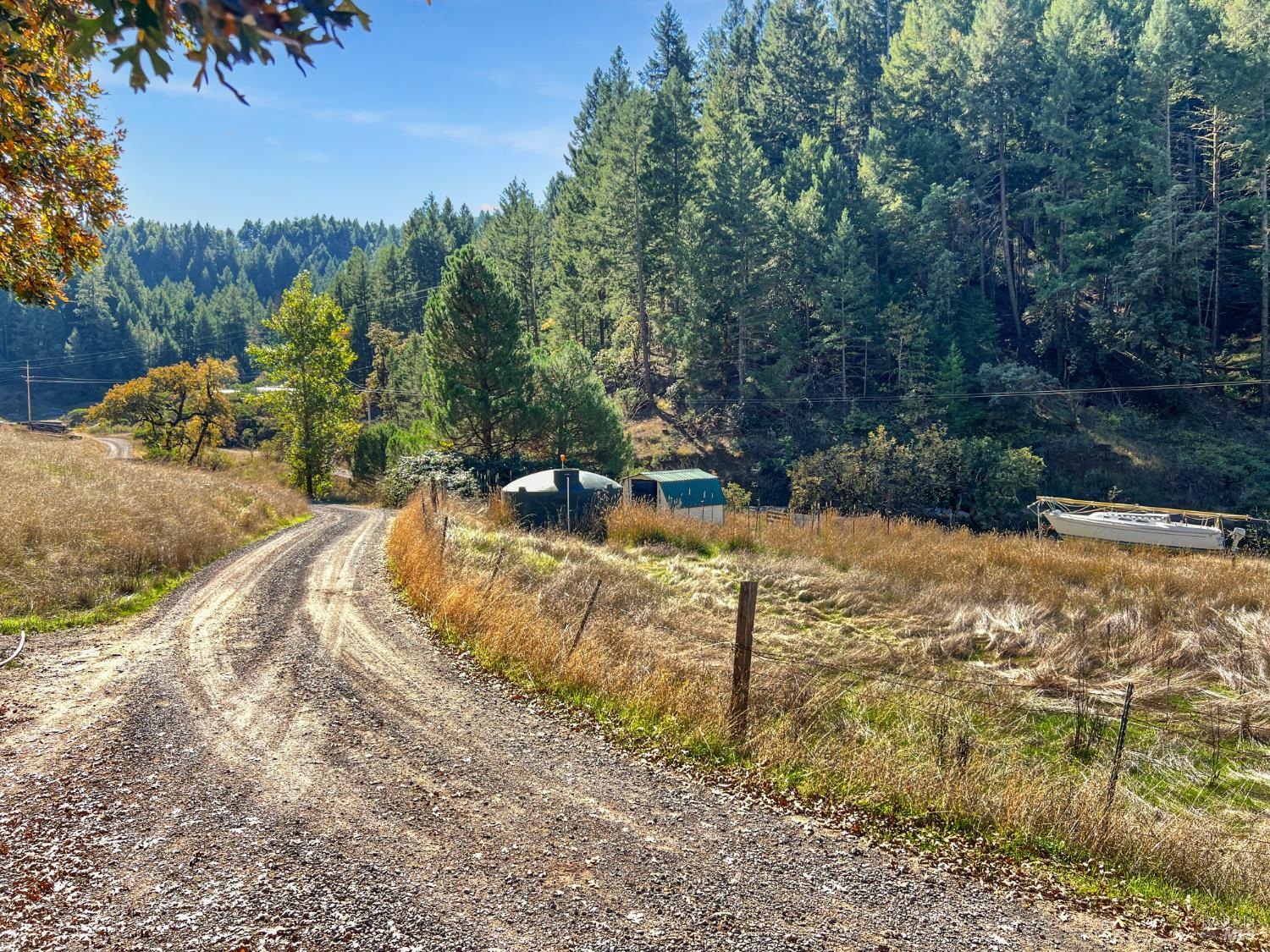 8600 Cave Creek Road Redwood Valley, CA 95470 - Photo 11 of 11 a view of a yard with large trees