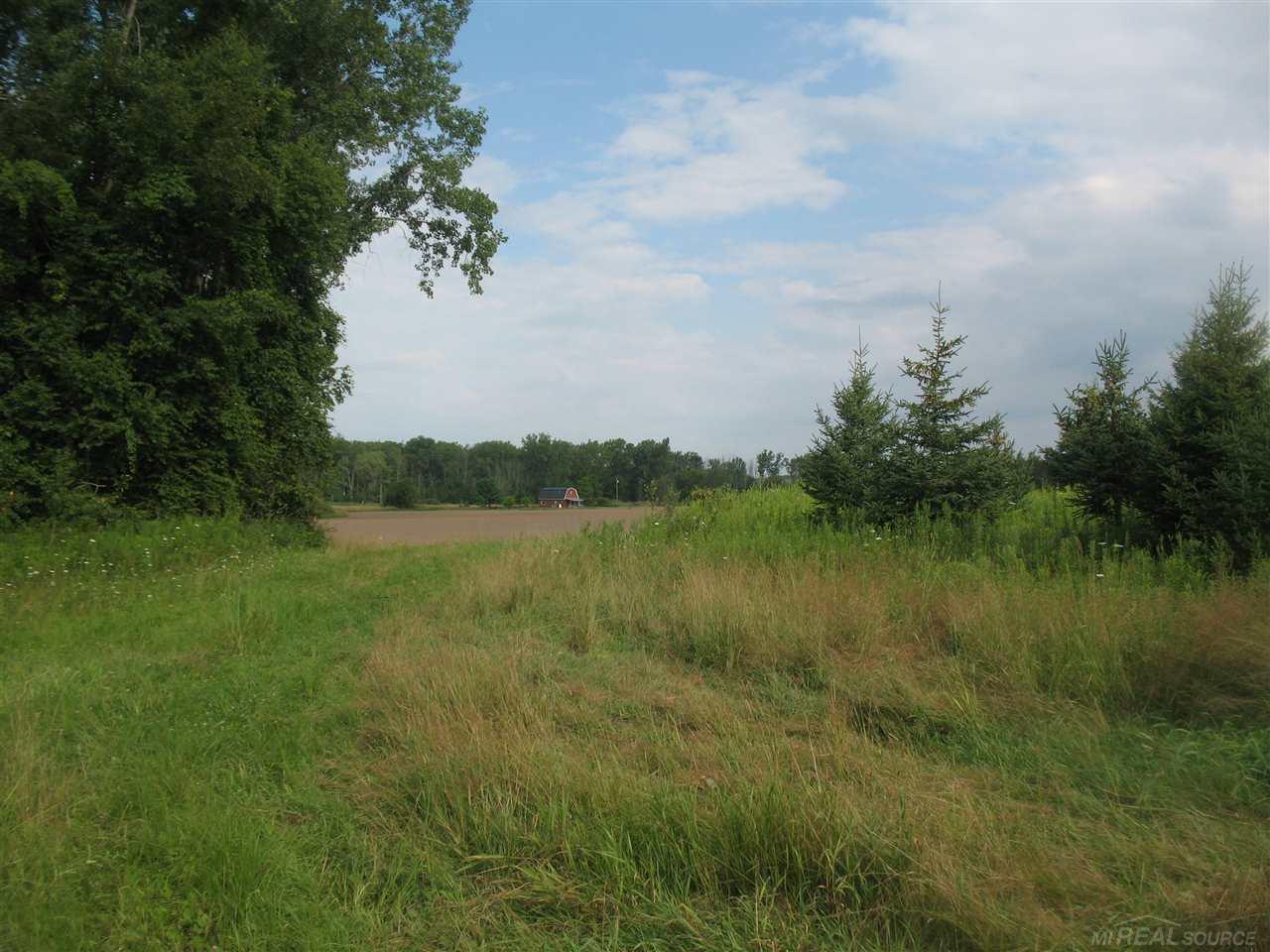 375 Charleston Road Ubly, MI 48475 - Photo 49 of 67