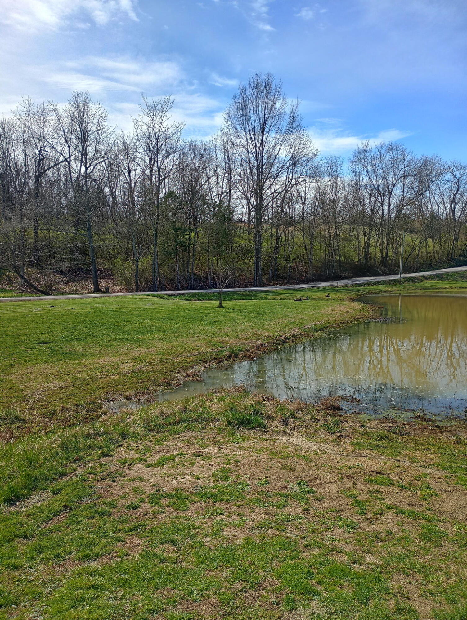 355 Mudlick Road Cynthiana, KY 41031 - Photo 22 of 31 5312928432607127036
