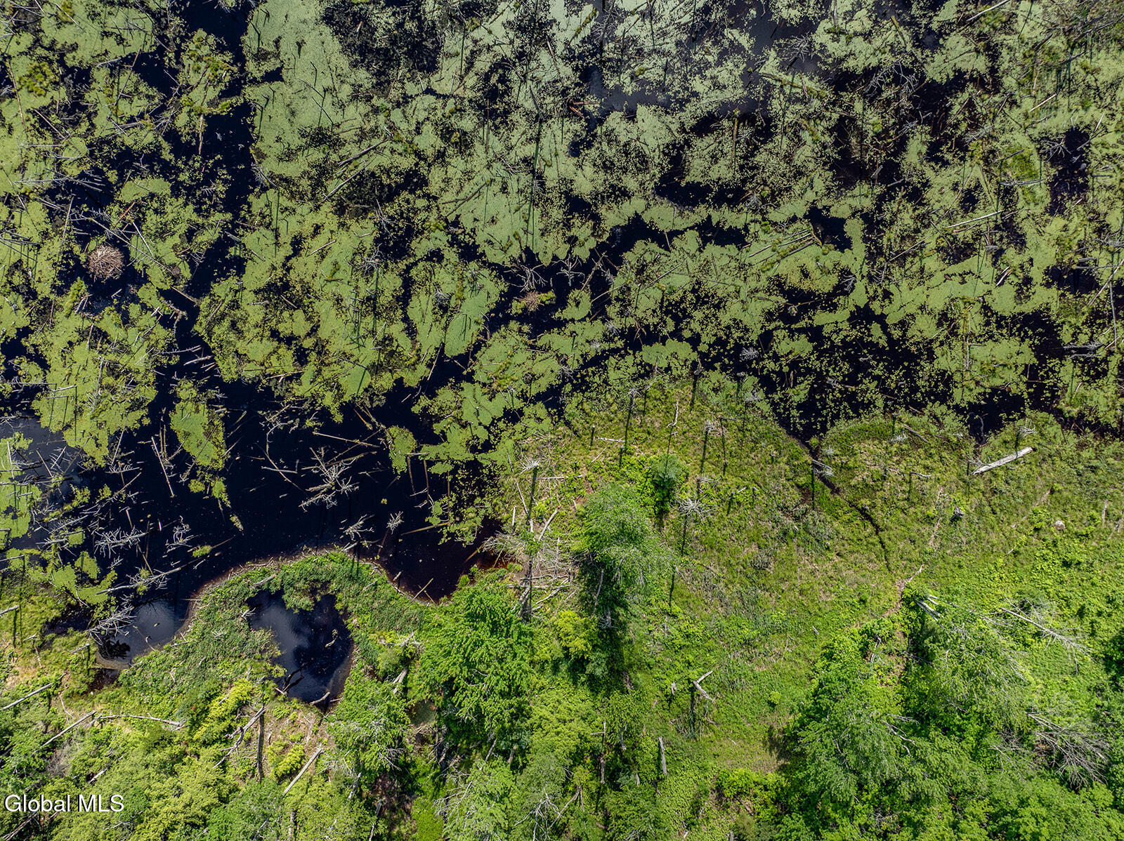 269 Federal City Road Broome, NY 12469 - Photo 6 of 43 DJI_0769-Edit