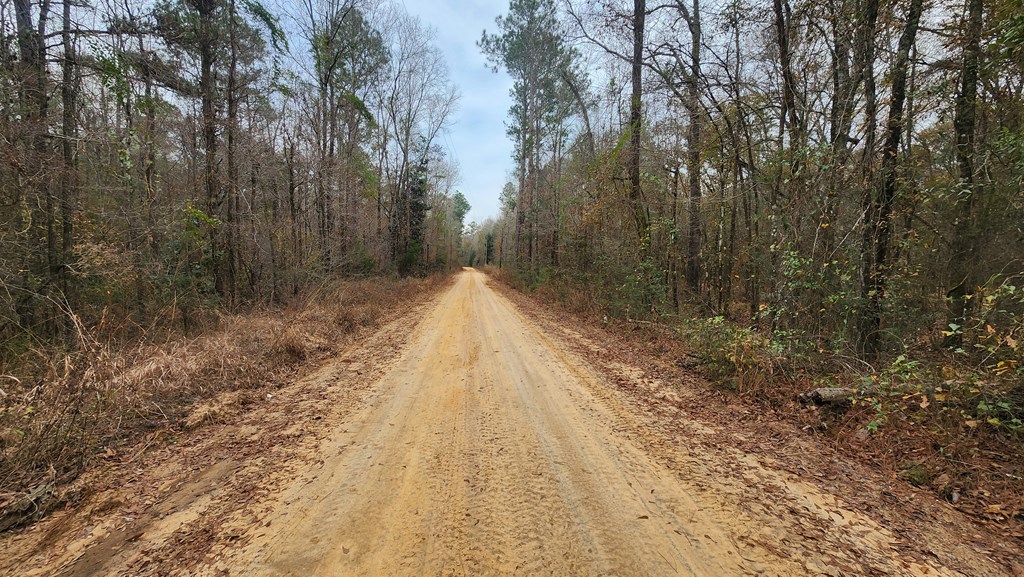 15.05 Pera Road Samson, AL 36477 - Photo 7 of 29