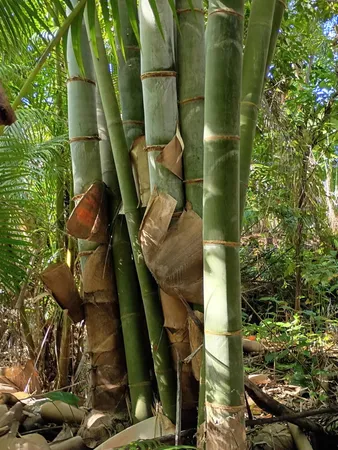 $575,000 | 16038 Robin Way, Jupiter, FL 33478