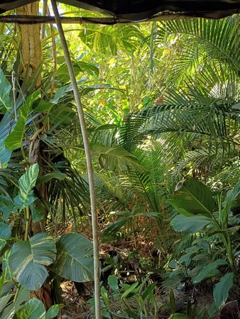 $575,000 | 16038 Robin Way, Jupiter, FL 33478