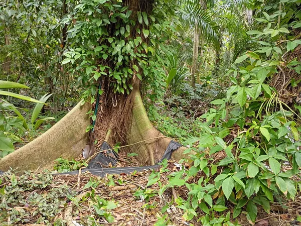 $575,000 | 16038 Robin Way, Jupiter, FL 33478