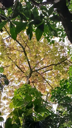 $575,000 | 16038 Robin Way, Jupiter, FL 33478