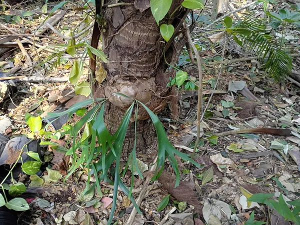 $575,000 | 16038 Robin Way, Jupiter, FL 33478