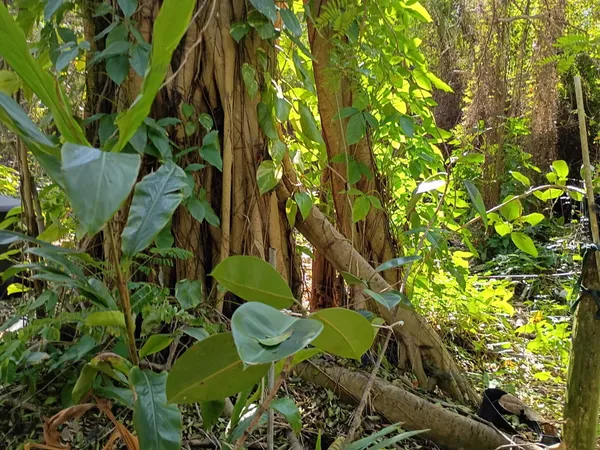 $575,000 | 16038 Robin Way, Jupiter, FL 33478