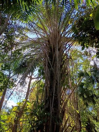 $575,000 | 16038 Robin Way, Jupiter, FL 33478