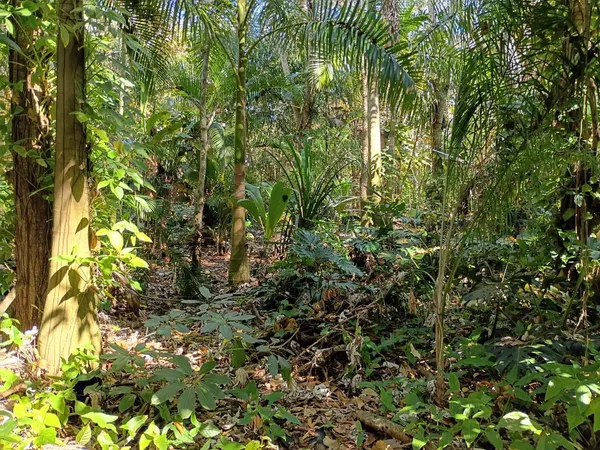 $575,000 | 16038 Robin Way, Jupiter, FL 33478