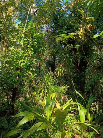 $575,000 | 16038 Robin Way, Jupiter, FL 33478