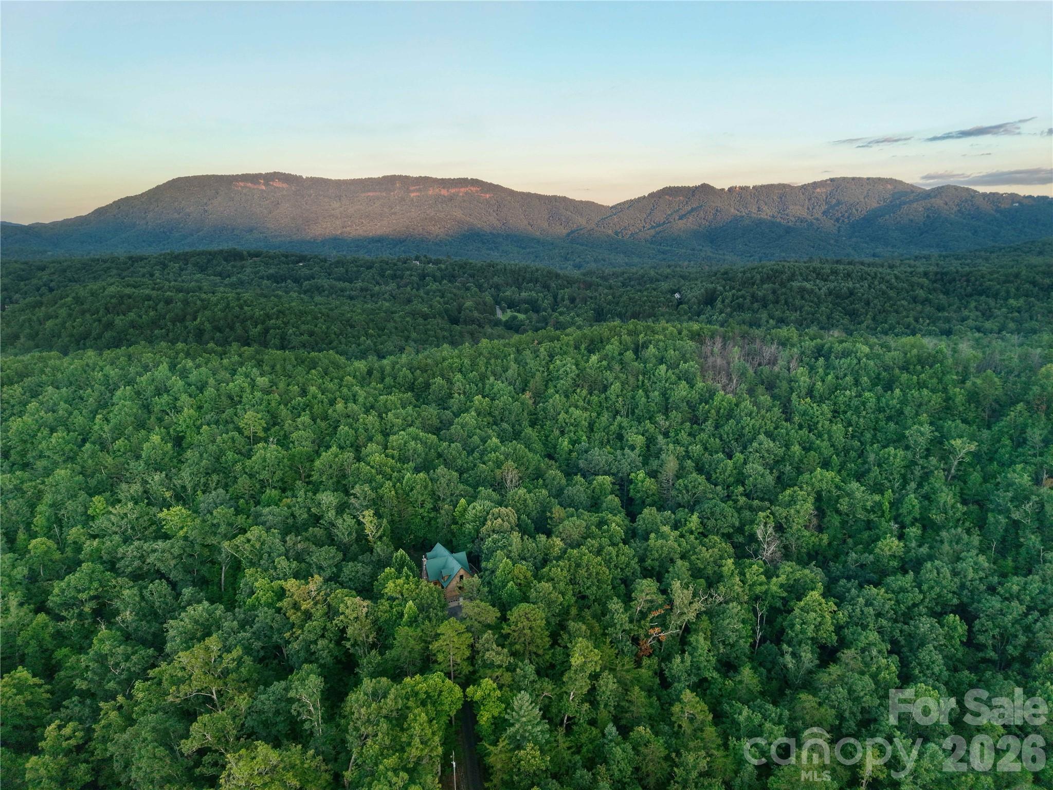 3815 Bat Cave Road Old Fort, NC 28762 - Photo 48 of 48 Gallery Image 48