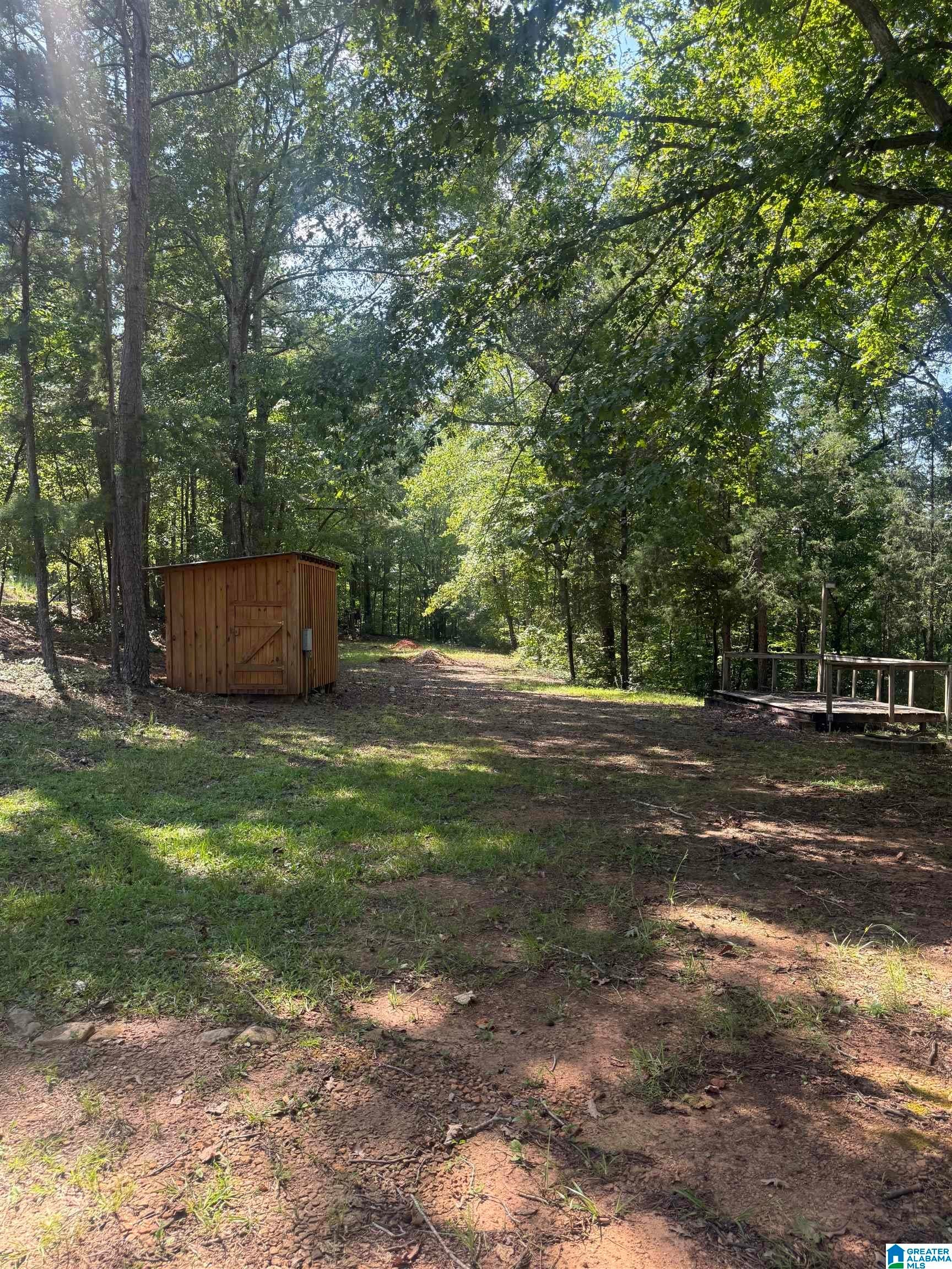385 Holloway Road Wedowee, AL 36278 - Photo 6 of 17 Gallery Image 6
