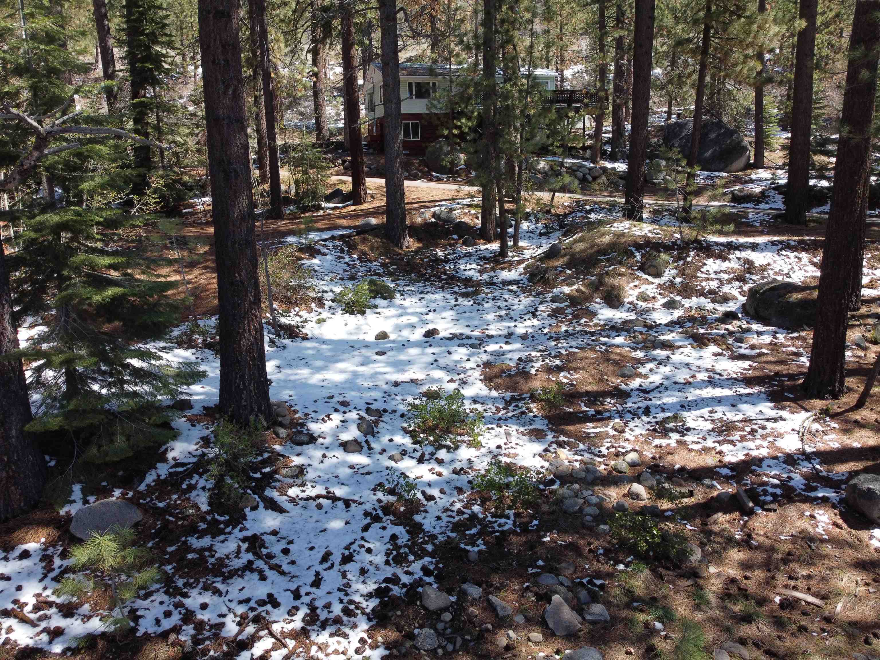 10104 Summit Drive Truckee, CA 96161 - Photo 8 of 9 a backyard of a house with lots of green space