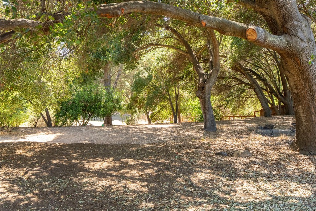 3388 Ramona Road Atascadero, CA 93422 - Photo 40 of 55 Mature trees make you feel secluded and give a wonderful sense of privacy.