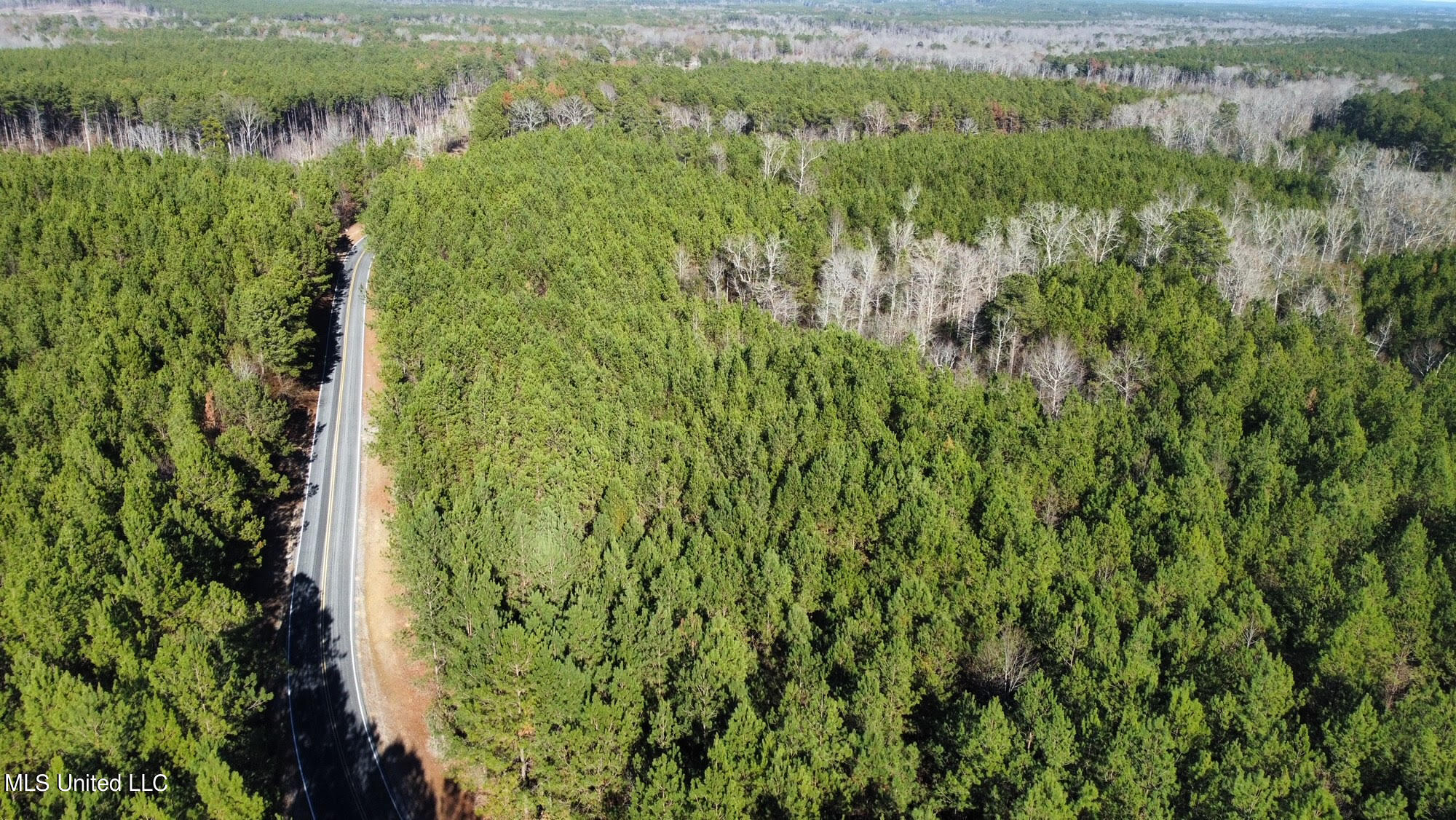 3 Henry Cannon Road Braxton, MS 39044 - Photo 8 of 16 27