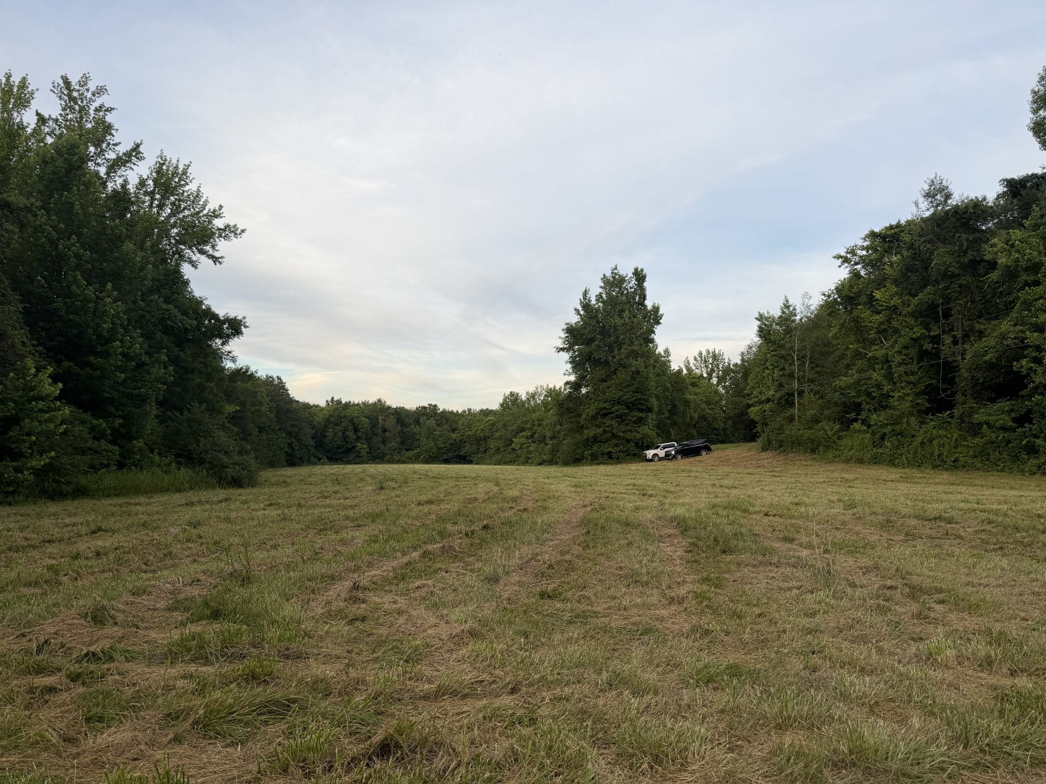 0 Dry Branch Road Holladay, TN 38341 - Photo 2 of 17