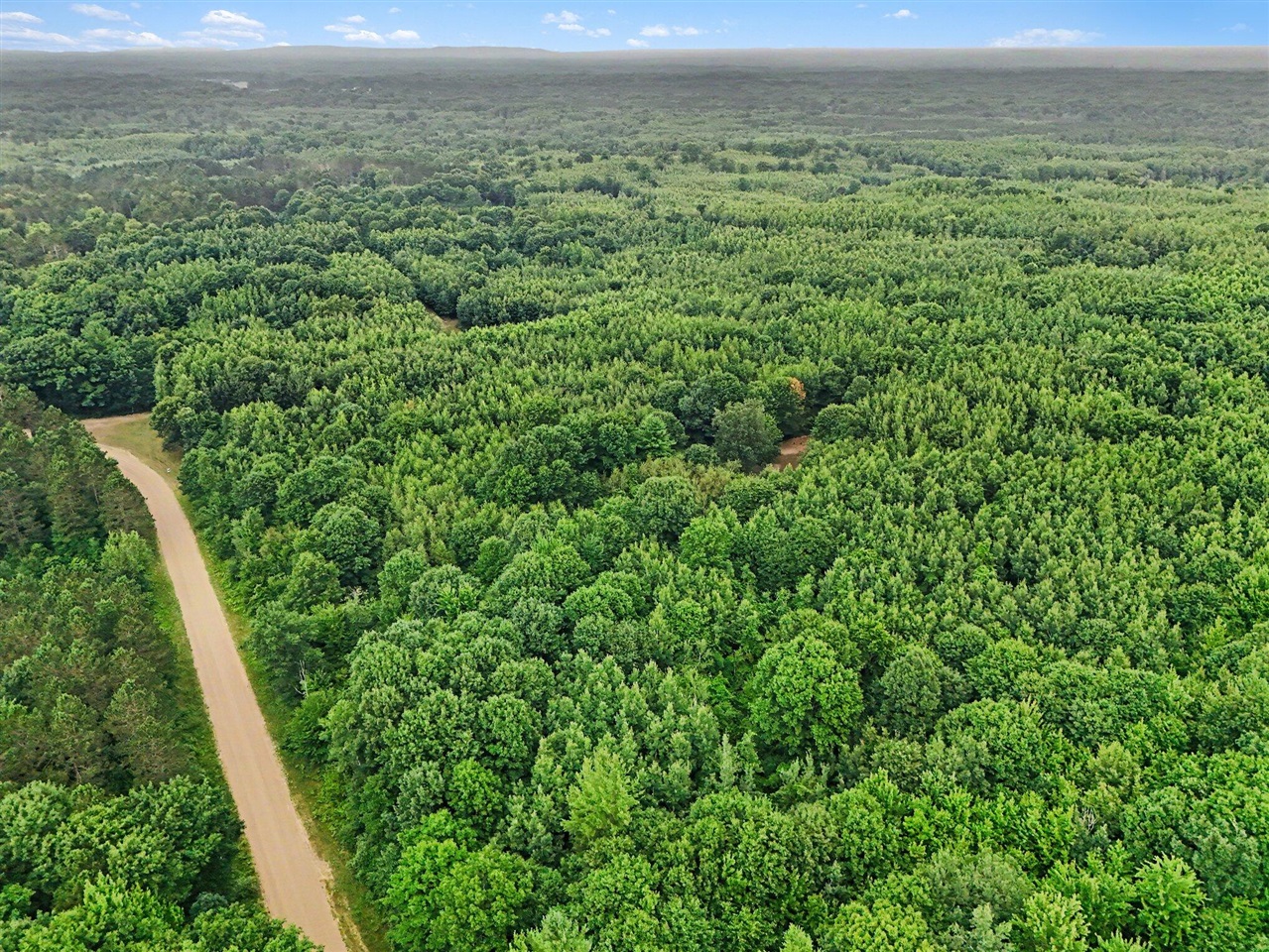V/l North Larson Road Custer, MI 49405 - Photo 11 of 16 Gallery Image 11