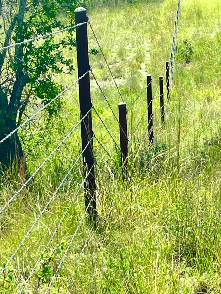 945 Elm Pass Road Center Point, TX 78010 - Photo 7 of 37 Cross Fencing, These fences divide the land into 4 pastures.
Native grasses provide good grazing.
This is a ranch suitable for raising horses, cattle, or exotics.