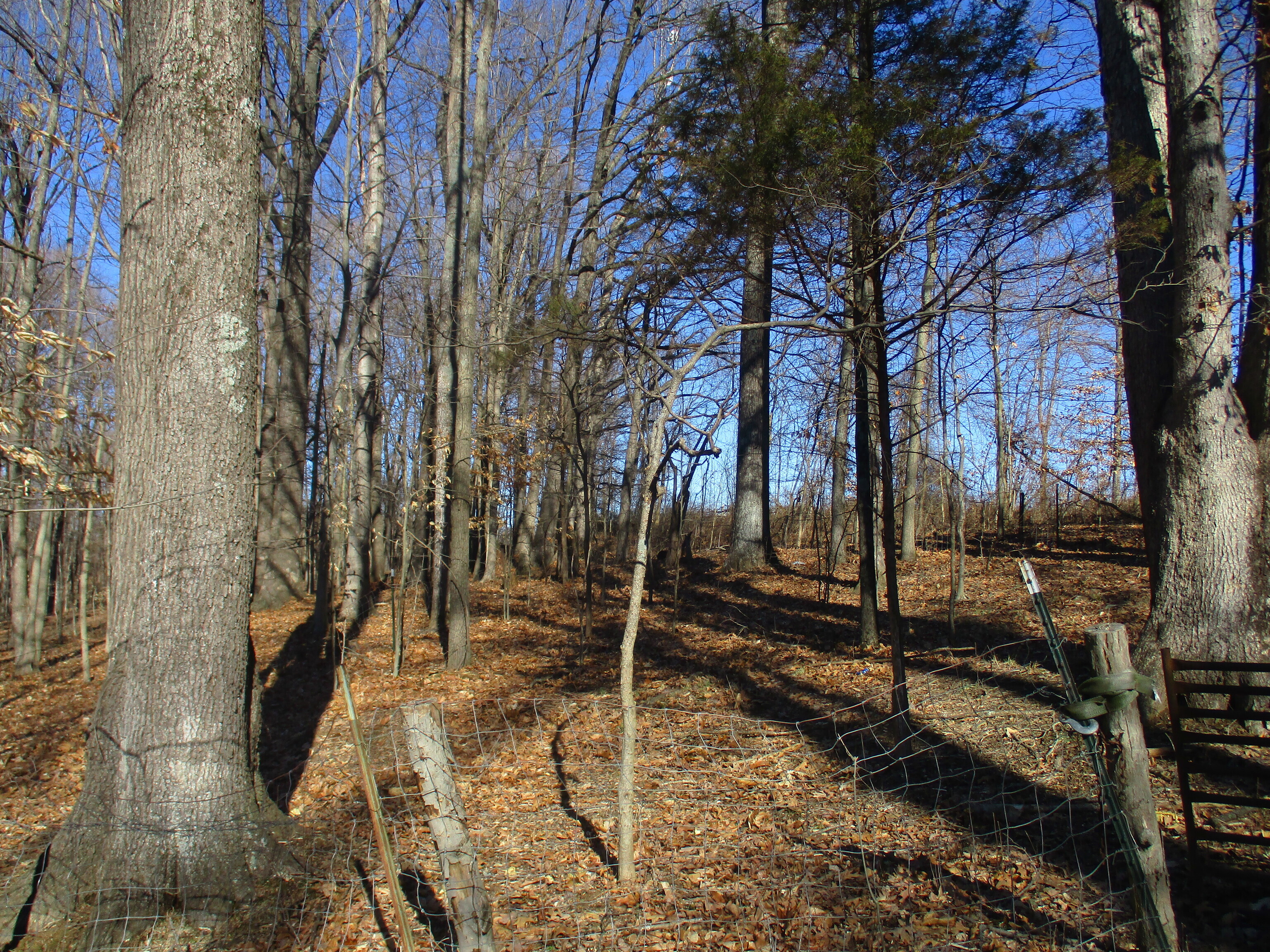 7071 North Fire Station Road Bloomfield, IN 47424 - Photo 11 of 15 Gallery Image 11