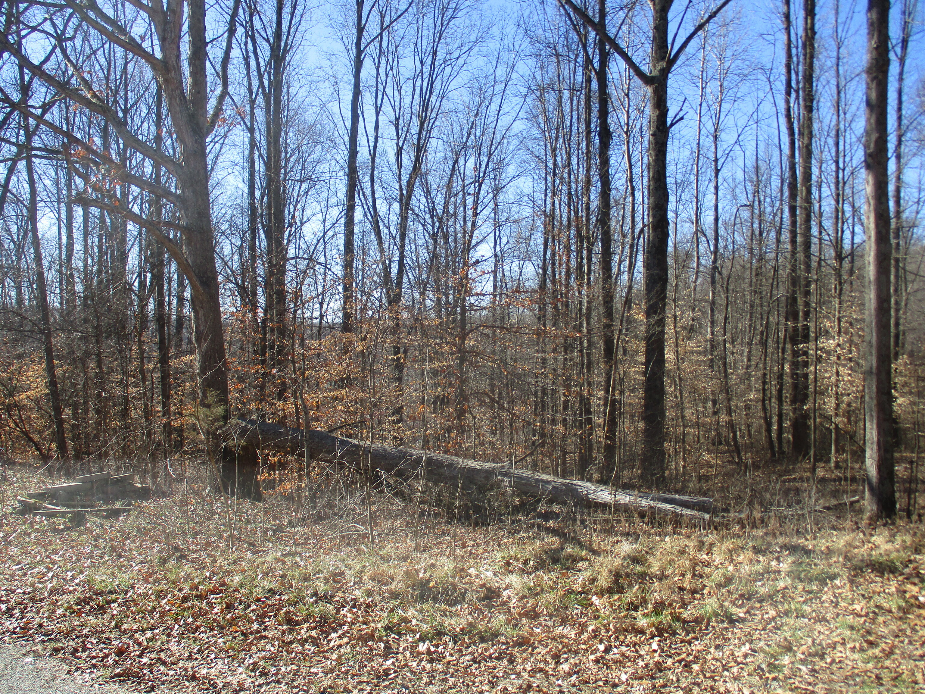 7071 North Fire Station Road Bloomfield, IN 47424 - Photo 8 of 15 Gallery Image 8