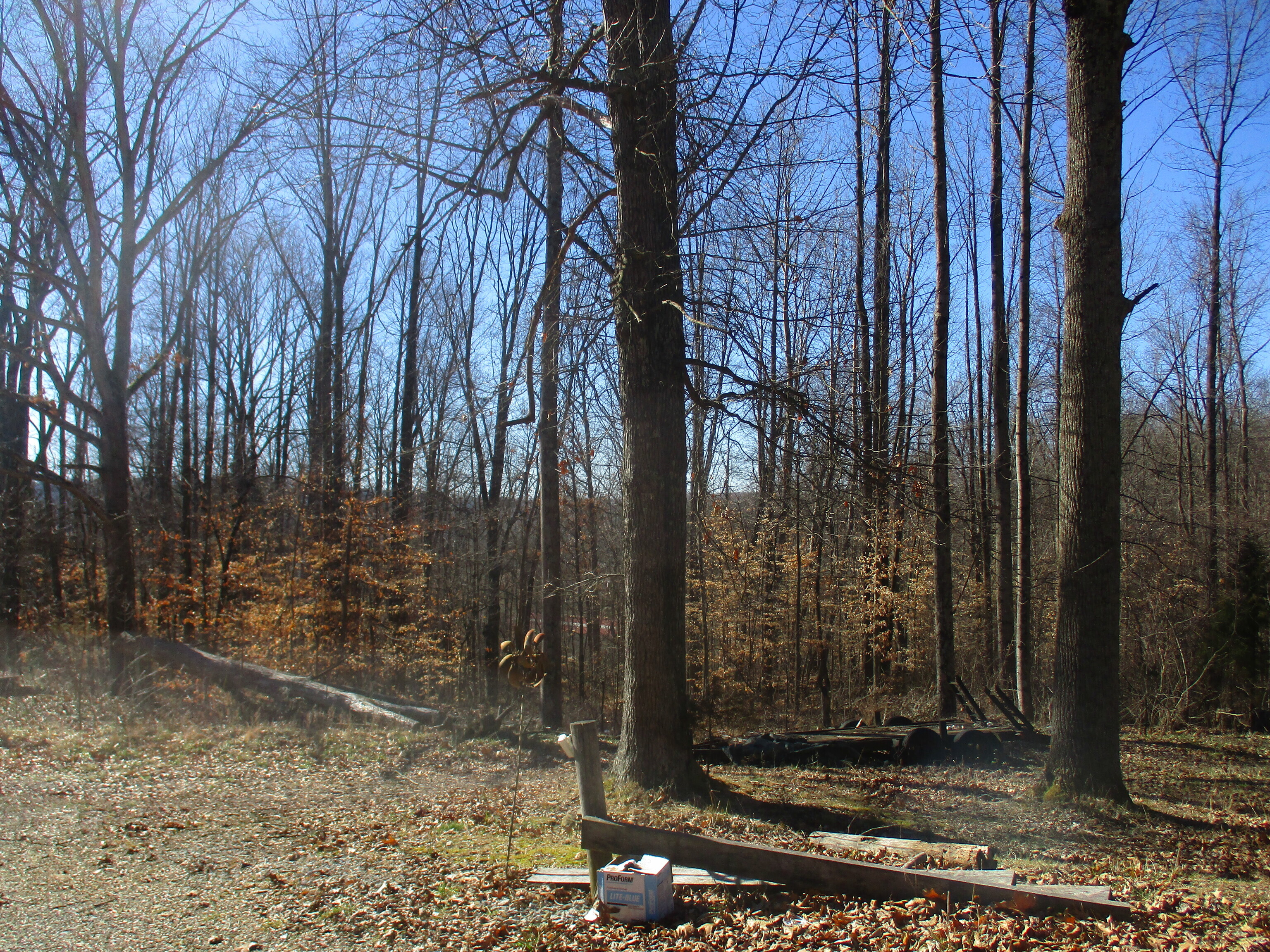 7071 North Fire Station Road Bloomfield, IN 47424 - Photo 9 of 15 Gallery Image 9