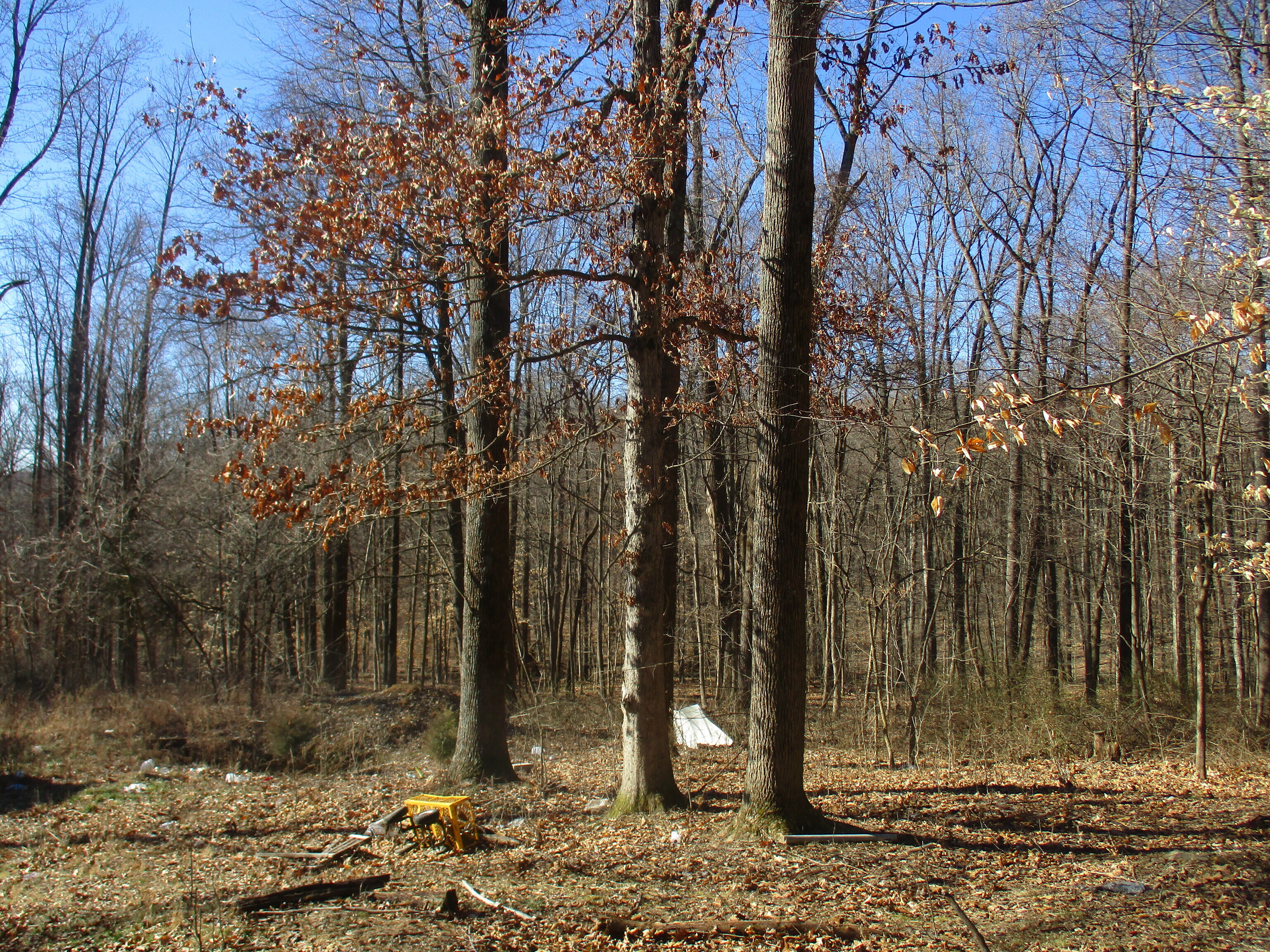 7071 North Fire Station Road Bloomfield, IN 47424 - Photo 10 of 15 Gallery Image 10