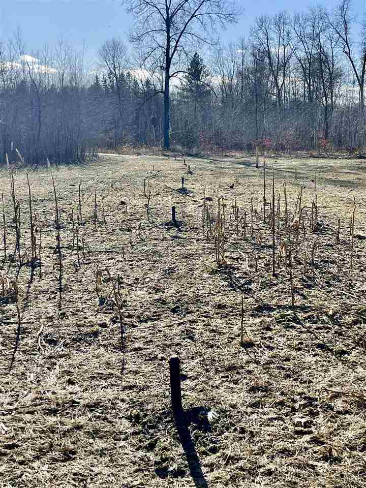 1762 3 Rivers Road Gladwin, MI 48624 - Photo 41 of 61