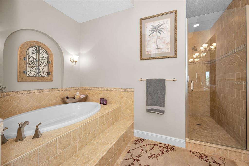 47 West Morgan Street Tarpon Springs, FL 34689 - Photo 44 of 64 a bathroom with a bathtub and a shower