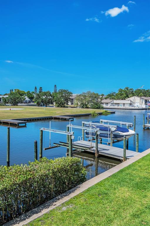 47 West Morgan Street Tarpon Springs, FL 34689 - Photo 55 of 64 a view of a terrace with a garden