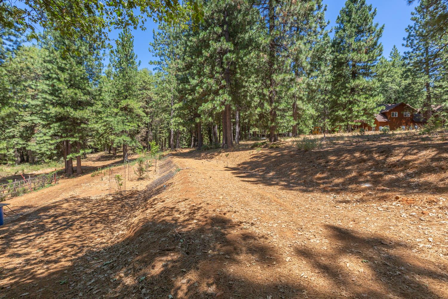 34900 Casa Loma Road, Unit B Alta, CA 95701 - Photo 12 of 18