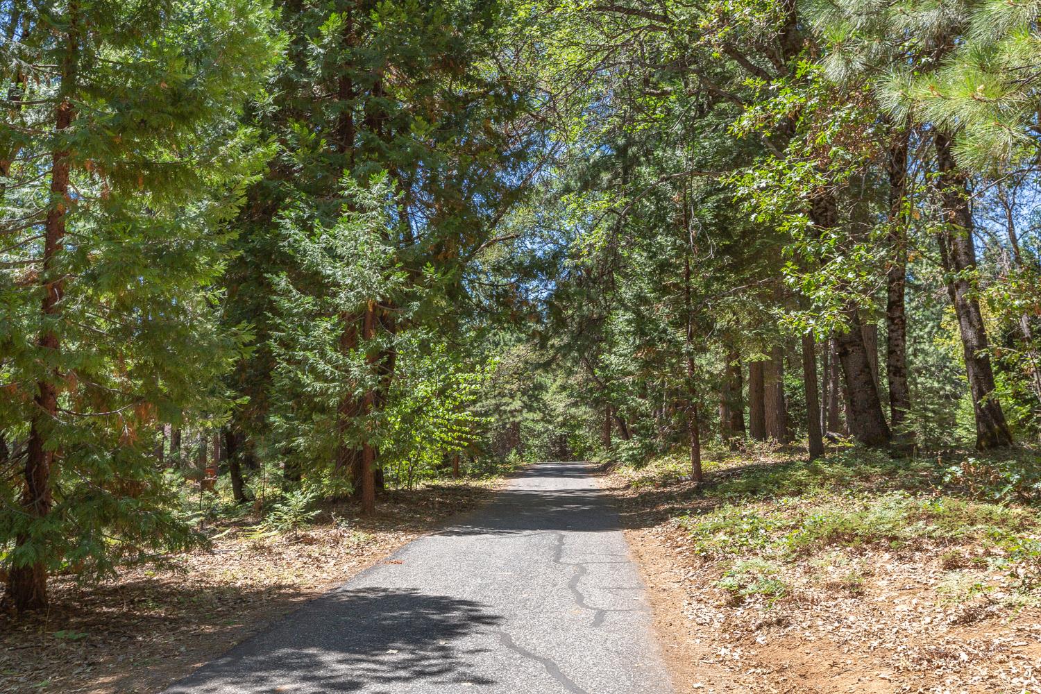 34900 Casa Loma Road, Unit B Alta, CA 95701 - Photo 14 of 18