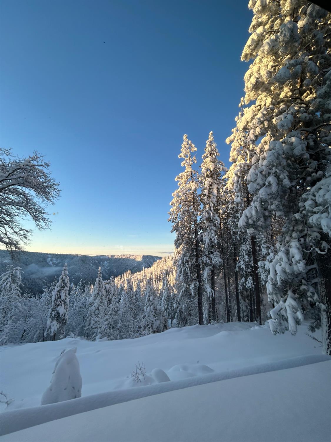 34900 Casa Loma Road, Unit B Alta, CA 95701 - Photo 18 of 18