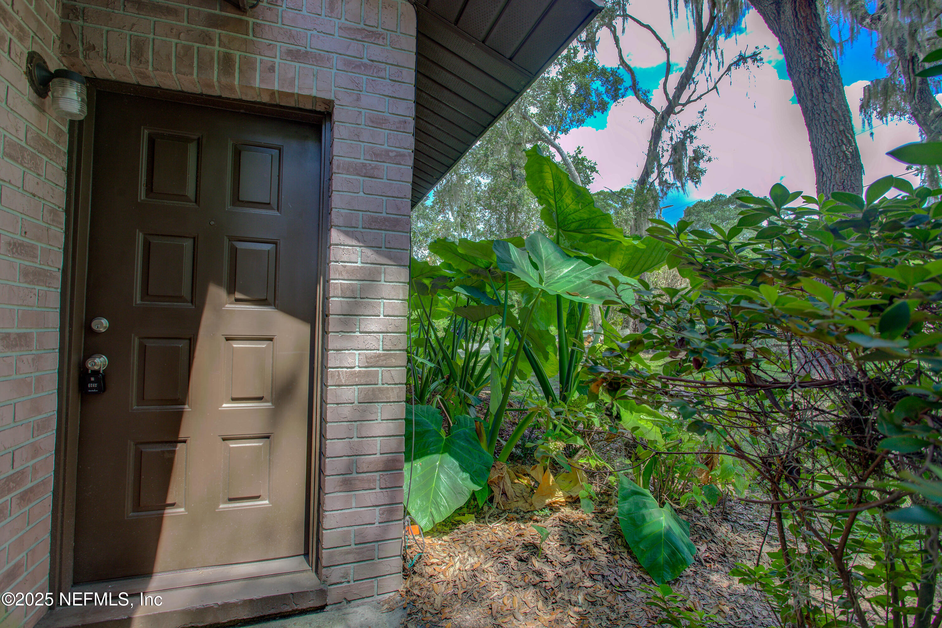 7861 State Road 21 Keystone Heights, FL 32656 - Photo 8 of 51 a picture of a door of the house