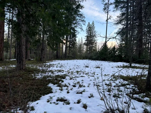 $89,990 | 164 Vireo Court, Arnold, CA 95223