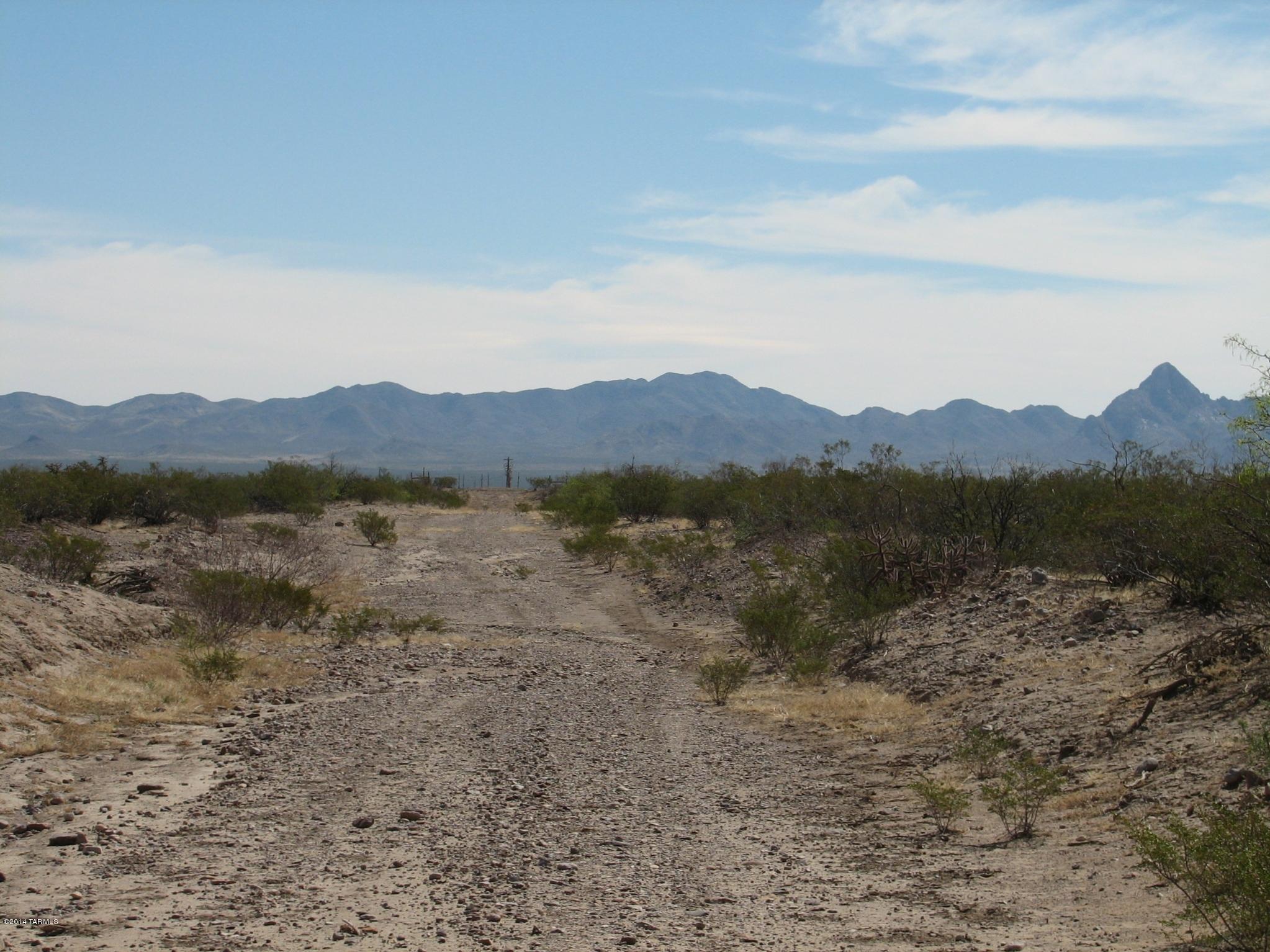 520 Acres East Of Noland Road San Simon, AZ 85632 - Photo 5 of 5